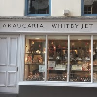 Araucaria Whitby Jet Jewellers 948132 Image 0