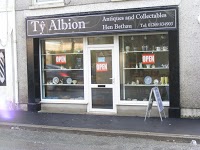 Ty Albion Antiques and Collectables 954589 Image 0
