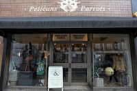 Pelicans and Parrots 955897 Image 1