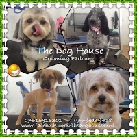 The Dog House 954809 Image 1