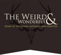 The Weird and Wonderful 948156 Image 0